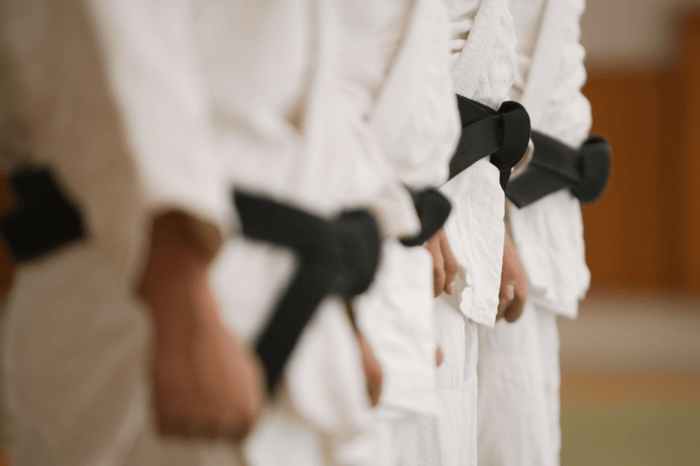 Superior Mixed Martial Arts: Where Martial Arts is a Way of Living